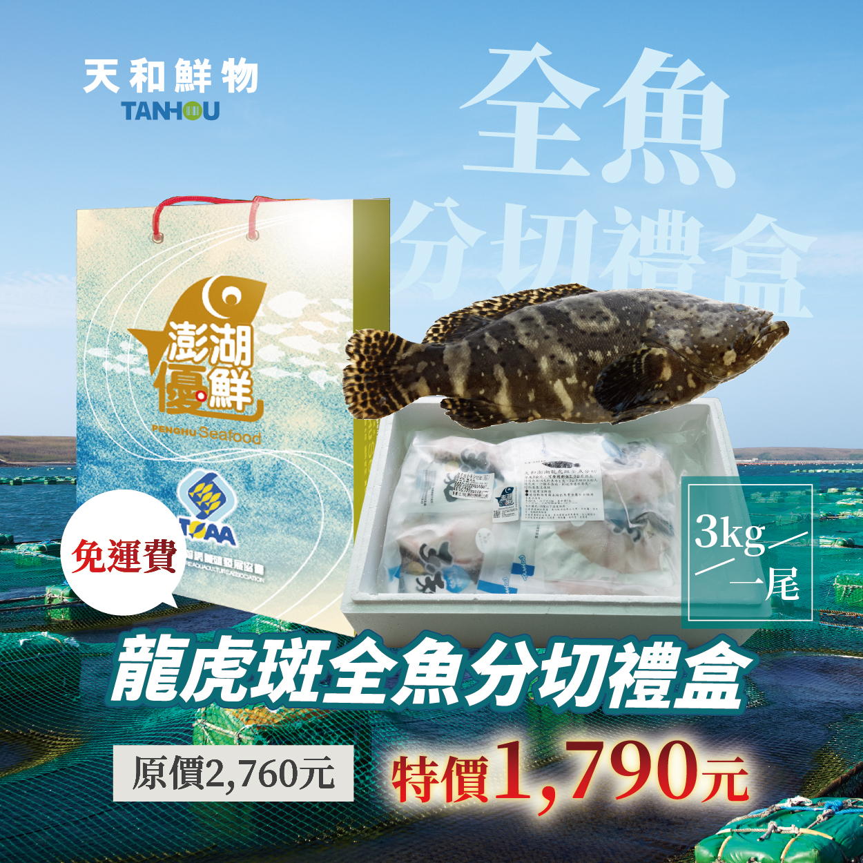 龍虎斑全魚禮盒